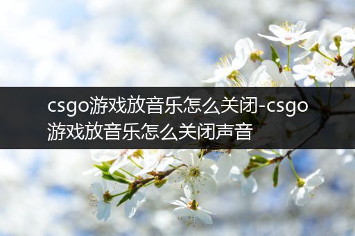 csgo游戏放音乐怎么关闭-csgo游戏放音乐怎么关闭声音