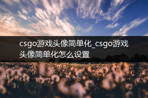 csgo游戏头像简单化_csgo游戏头像简单化怎么设置