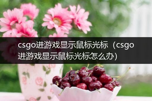 csgo进游戏显示鼠标光标（csgo进游戏显示鼠标光标怎么办）