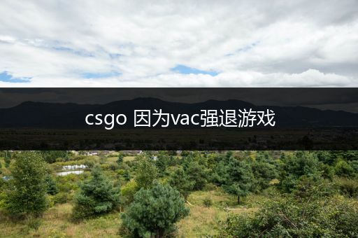 csgo 因为vac强退游戏