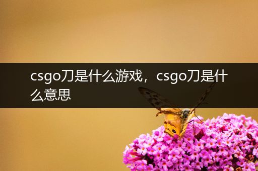 csgo刀是什么游戏，csgo刀是什么意思