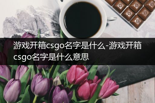 游戏开箱csgo名字是什么-游戏开箱csgo名字是什么意思