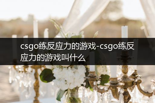 csgo练反应力的游戏-csgo练反应力的游戏叫什么