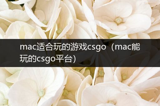 mac适合玩的游戏csgo（mac能玩的csgo平台）