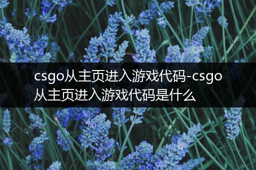 csgo从主页进入游戏代码-csgo从主页进入游戏代码是什么