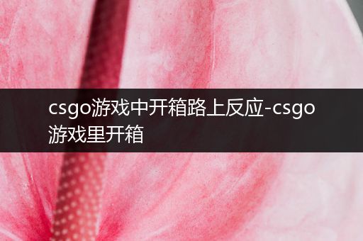csgo游戏中开箱路上反应-csgo游戏里开箱