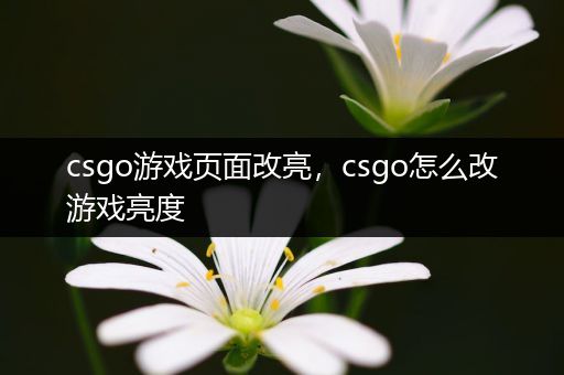 csgo游戏页面改亮，csgo怎么改游戏亮度