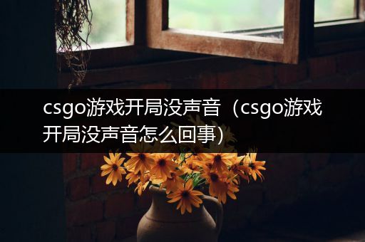 csgo游戏开局没声音（csgo游戏开局没声音怎么回事）