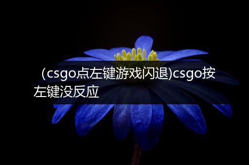 （csgo点左键游戏闪退)csgo按左键没反应