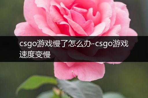 csgo游戏慢了怎么办-csgo游戏速度变慢