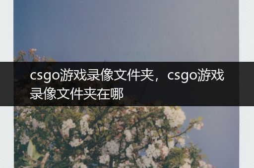 csgo游戏录像文件夹，csgo游戏录像文件夹在哪