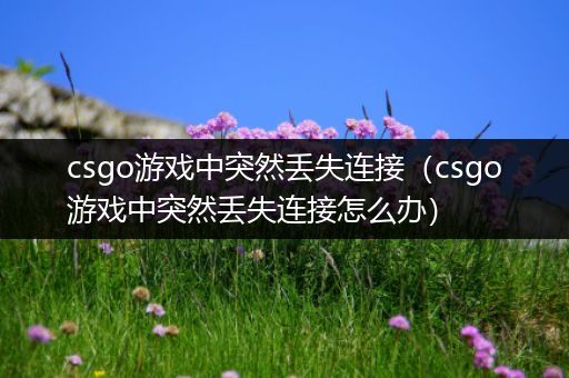 csgo游戏中突然丢失连接（csgo游戏中突然丢失连接怎么办）