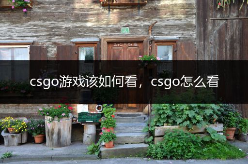 csgo游戏该如何看，csgo怎么看