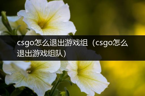 csgo怎么退出游戏组（csgo怎么退出游戏组队）