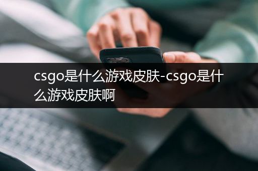 csgo是什么游戏皮肤-csgo是什么游戏皮肤啊