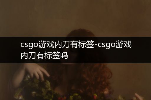 csgo游戏内刀有标签-csgo游戏内刀有标签吗