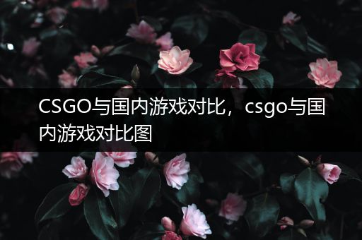 CSGO与国内游戏对比，csgo与国内游戏对比图