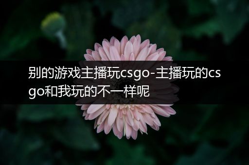 别的游戏主播玩csgo-主播玩的csgo和我玩的不一样呢