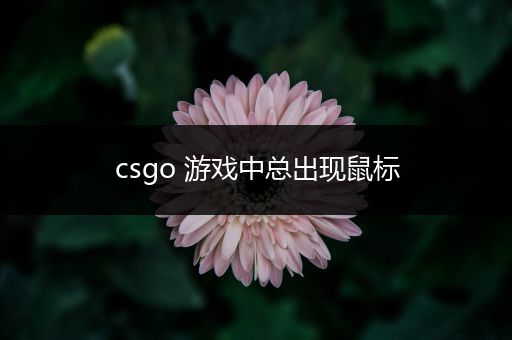 csgo 游戏中总出现鼠标