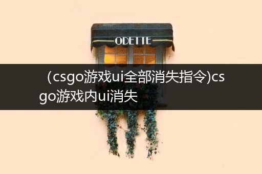（csgo游戏ui全部消失指令)csgo游戏内ui消失