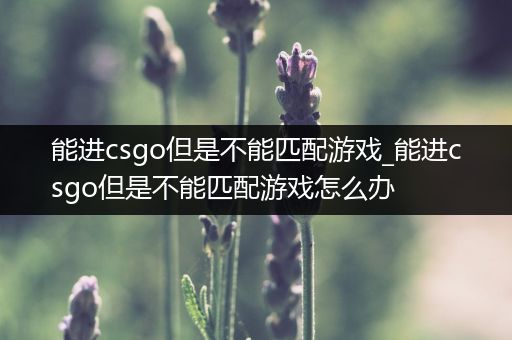 能进csgo但是不能匹配游戏_能进csgo但是不能匹配游戏怎么办