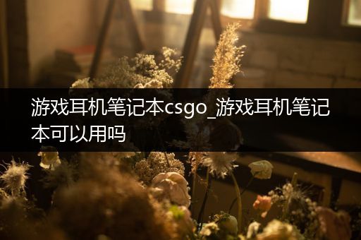 游戏耳机笔记本csgo_游戏耳机笔记本可以用吗
