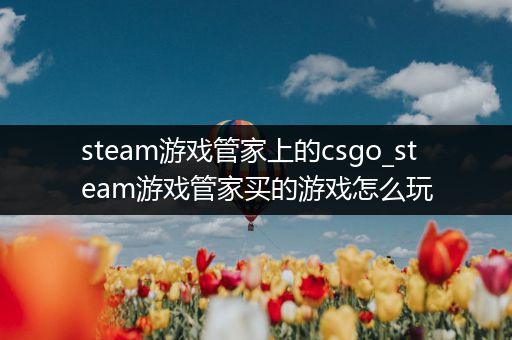 steam游戏管家上的csgo_steam游戏管家买的游戏怎么玩