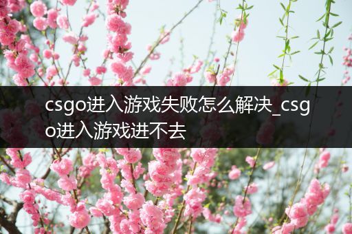 csgo进入游戏失败怎么解决_csgo进入游戏进不去