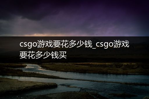 csgo游戏要花多少钱_csgo游戏要花多少钱买