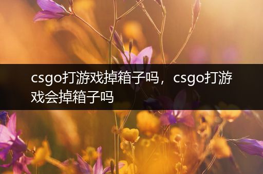 csgo打游戏掉箱子吗，csgo打游戏会掉箱子吗