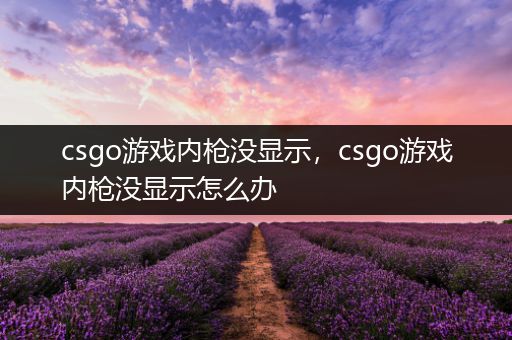 csgo游戏内枪没显示，csgo游戏内枪没显示怎么办