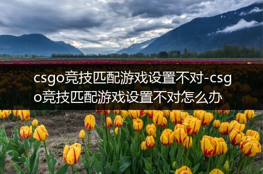 csgo竞技匹配游戏设置不对-csgo竞技匹配游戏设置不对怎么办