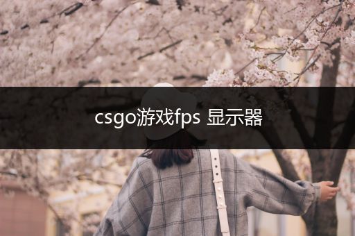 csgo游戏fps 显示器