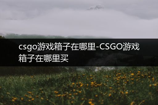csgo游戏箱子在哪里-CSGO游戏箱子在哪里买