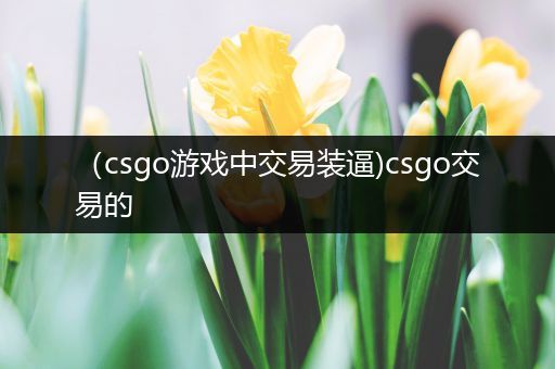 （csgo游戏中交易装逼)csgo交易的