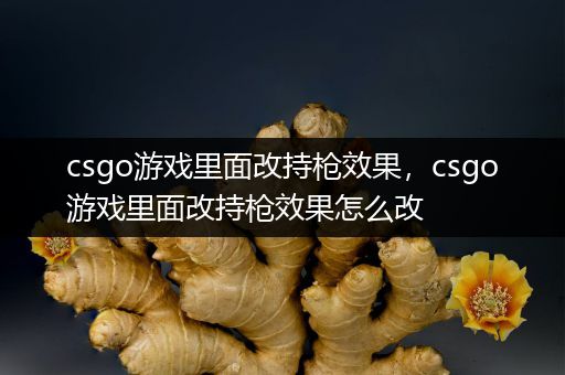 csgo游戏里面改持枪效果，csgo游戏里面改持枪效果怎么改