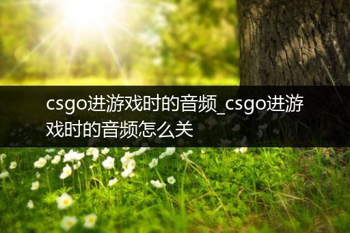 csgo进游戏时的音频_csgo进游戏时的音频怎么关