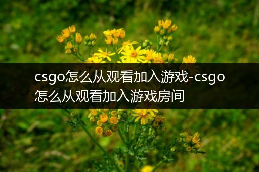 csgo怎么从观看加入游戏-csgo怎么从观看加入游戏房间