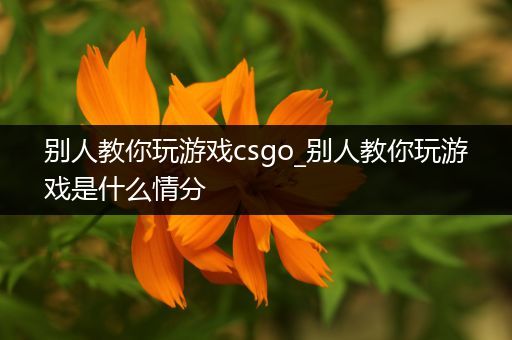 别人教你玩游戏csgo_别人教你玩游戏是什么情分