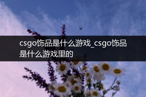 csgo饰品是什么游戏_csgo饰品是什么游戏里的