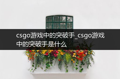 csgo游戏中的突破手_csgo游戏中的突破手是什么
