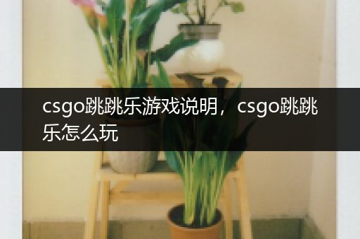csgo跳跳乐游戏说明，csgo跳跳乐怎么玩