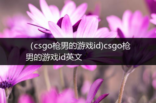 （csgo枪男的游戏id)csgo枪男的游戏id英文