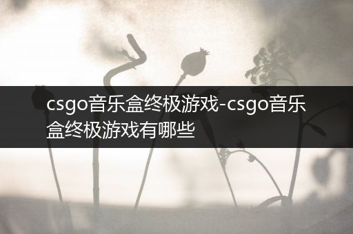 csgo音乐盒终极游戏-csgo音乐盒终极游戏有哪些