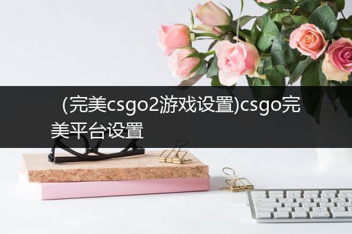 （完美csgo2游戏设置)csgo完美平台设置
