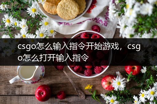 csgo怎么输入指令开始游戏，csgo怎么打开输入指令