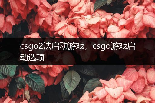 csgo2法启动游戏，csgo游戏启动选项