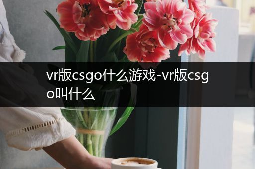 vr版csgo什么游戏-vr版csgo叫什么