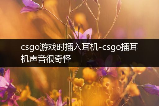 csgo游戏时插入耳机-csgo插耳机声音很奇怪