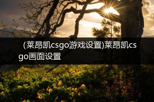 （莱昂凯csgo游戏设置)莱昂凯csgo画面设置